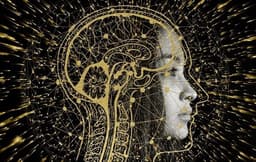 Заменит ли ИИ людей?